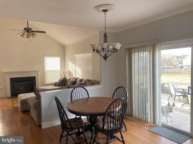 dining space with wood-type flooring, vaulted ceiling, and ceiling fan with notable chandelier