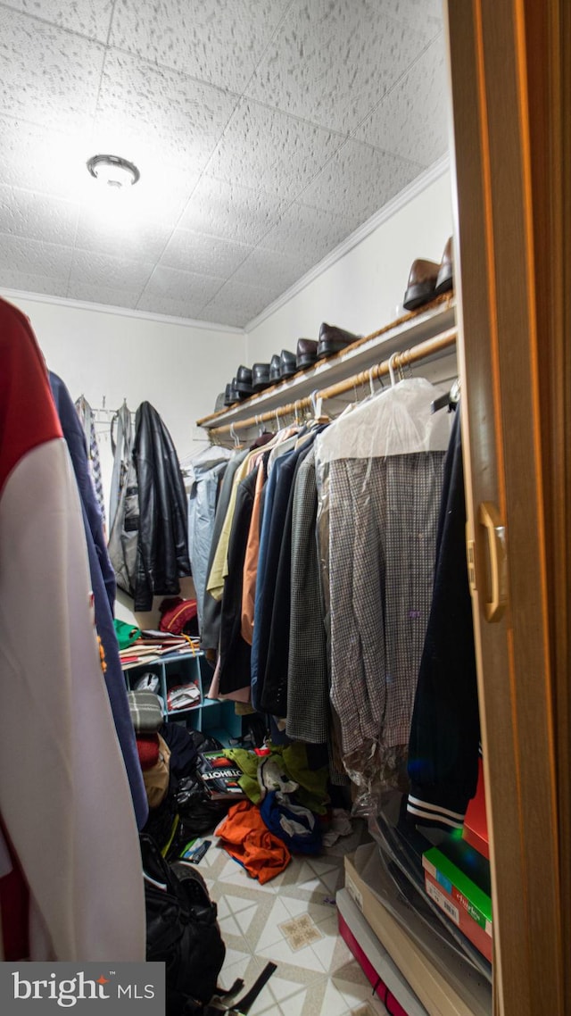 spacious closet with a paneled ceiling