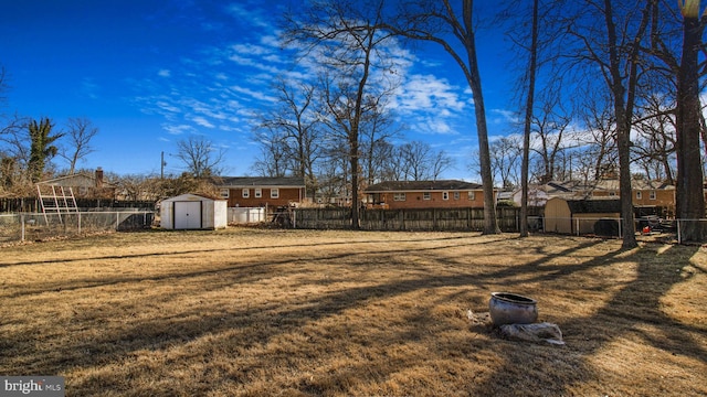 view of yard featuring a shed