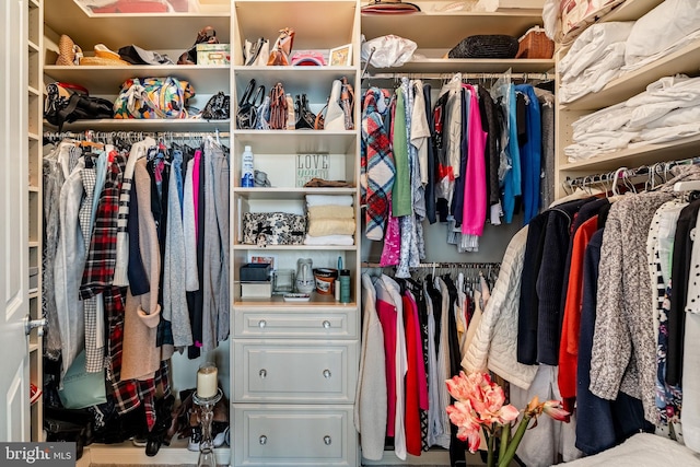 view of walk in closet