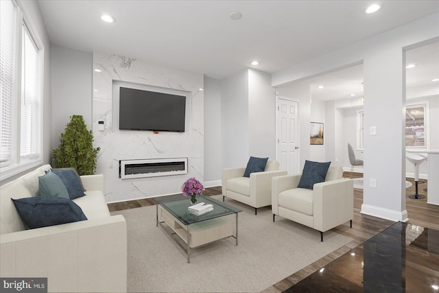 living room with a premium fireplace, wood-type flooring, and a healthy amount of sunlight