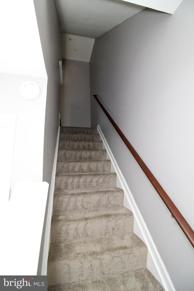 stairway featuring carpet flooring