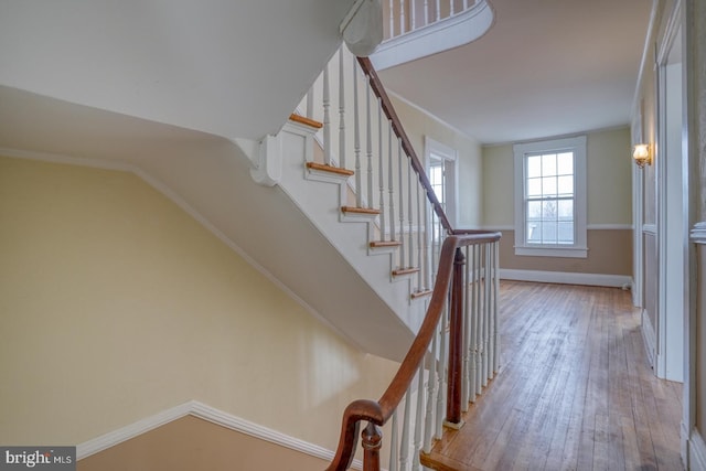 staircase with wood-type flooring and ornamental molding