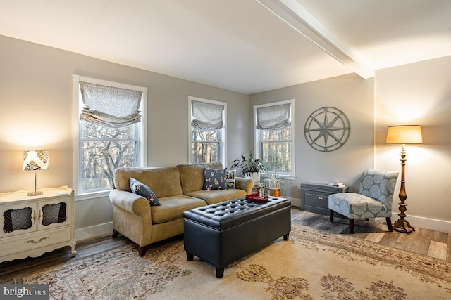 living room with hardwood / wood-style floors, a wealth of natural light, and beamed ceiling