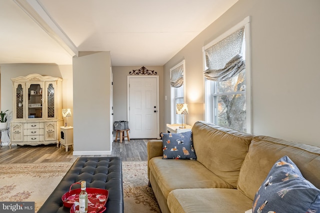 living room with hardwood / wood-style floors