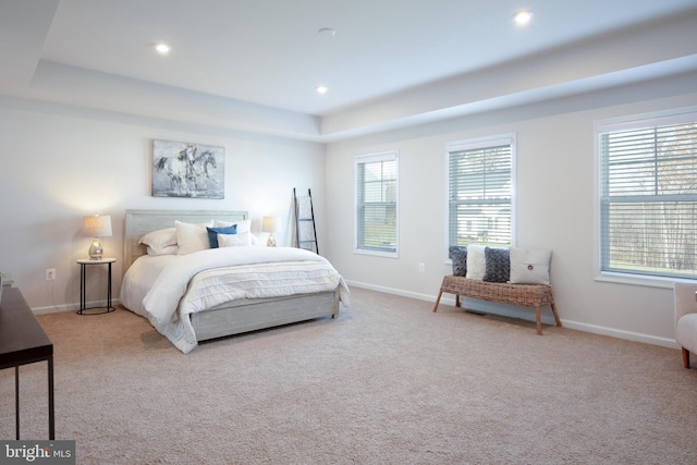 bedroom featuring a tray ceiling, light carpet, and multiple windows