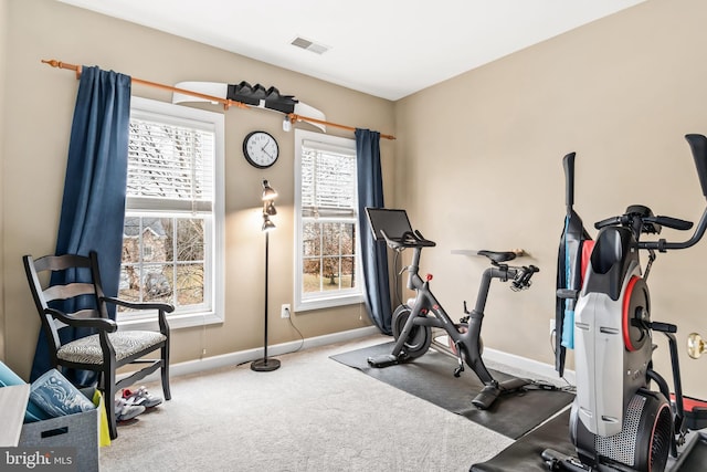 exercise room featuring carpet