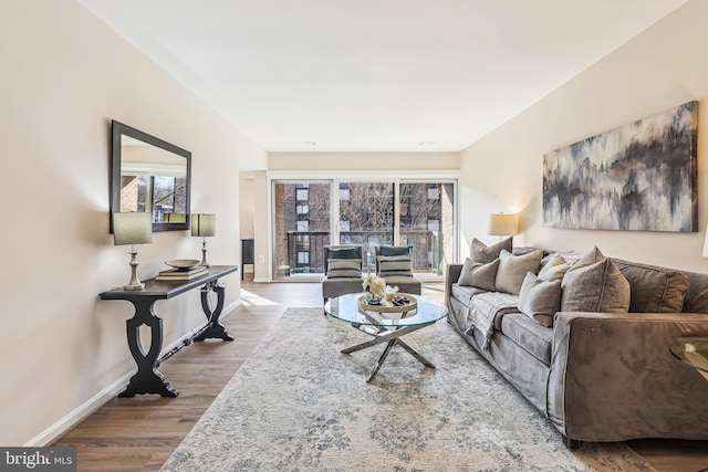 living room with hardwood / wood-style flooring