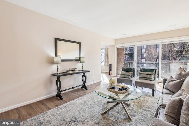 living room featuring hardwood / wood-style flooring