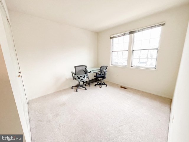 office space featuring carpet floors