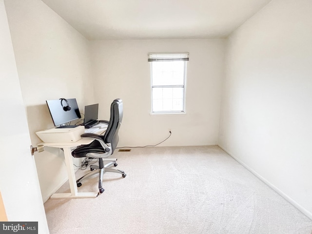 office space featuring carpet flooring