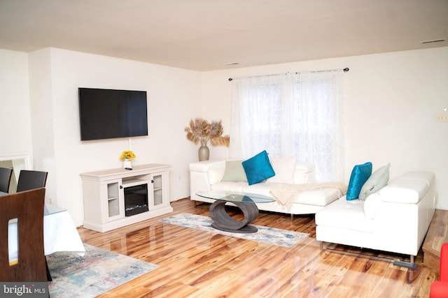 living room featuring hardwood / wood-style flooring