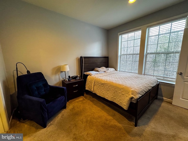 bedroom featuring carpet floors