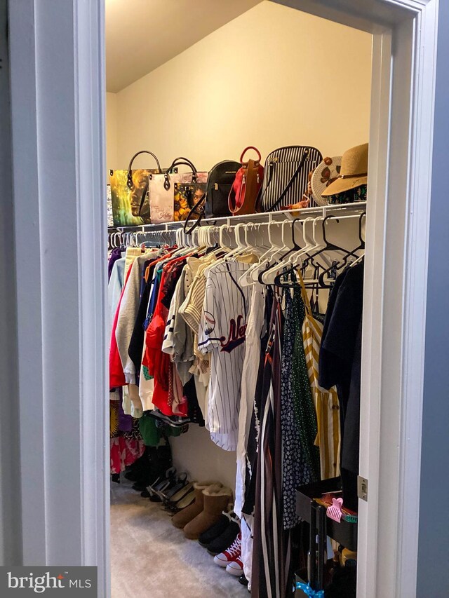 view of closet