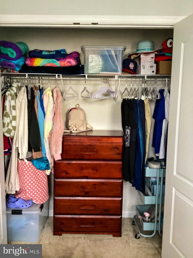 view of closet