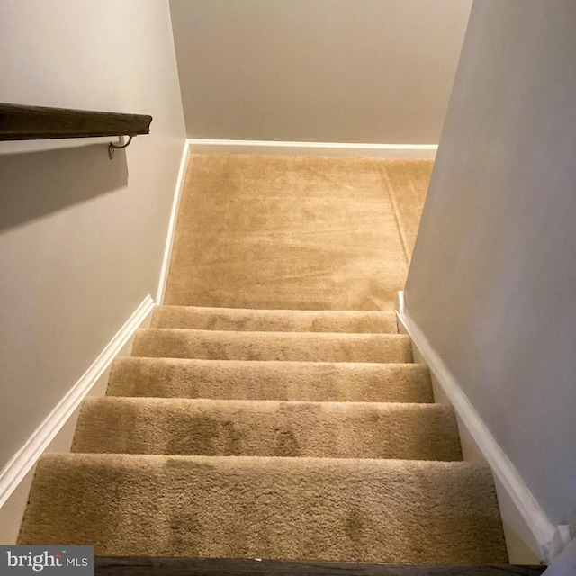 stairway featuring carpet and baseboards