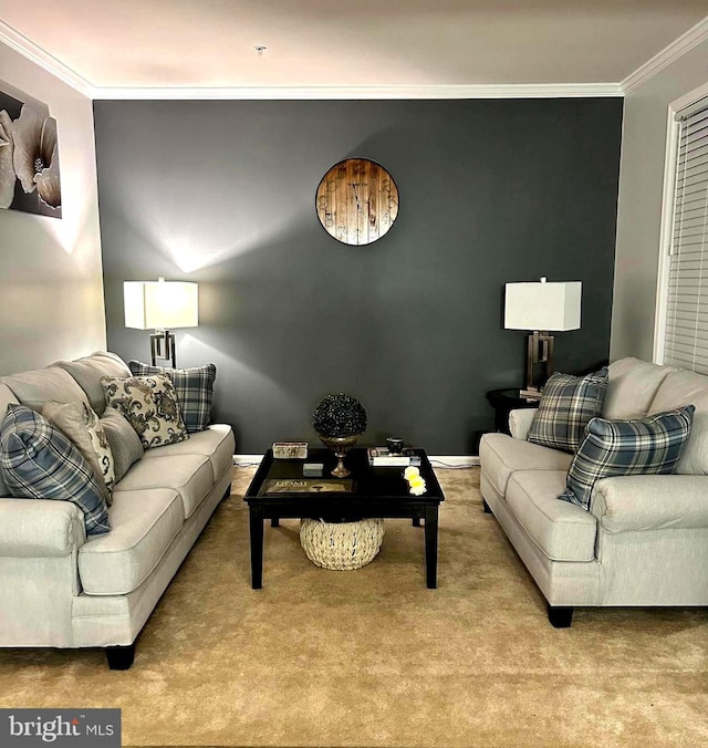 living area featuring carpet floors and ornamental molding