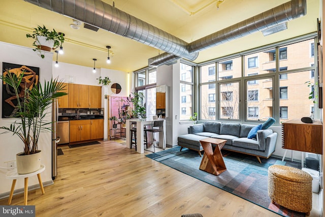 living room featuring light hardwood / wood-style flooring