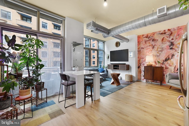 living room with light hardwood / wood-style floors and a healthy amount of sunlight