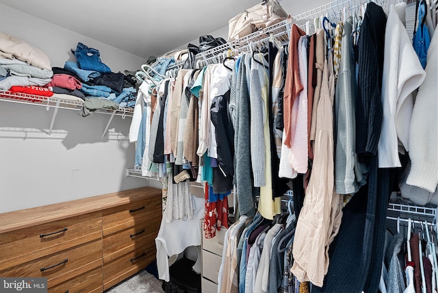 view of spacious closet