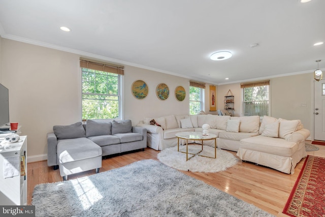 living room featuring plenty of natural light and light hardwood / wood-style flooring