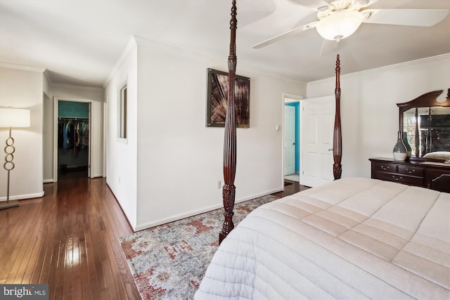 bedroom with a walk in closet, crown molding, dark wood-type flooring, and ceiling fan