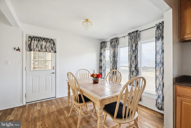 dining room featuring a healthy amount of sunlight and light wood-type flooring