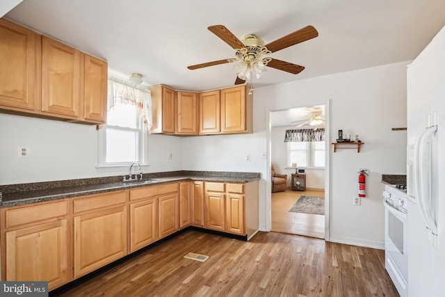 kitchen with hardwood / wood-style flooring, sink, light brown cabinets, and white appliances