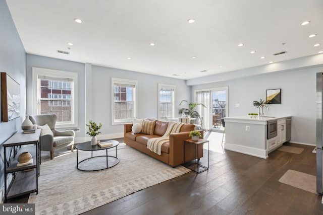 living room featuring sink and dark wood-type flooring