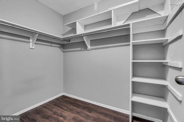 spacious closet featuring dark wood-type flooring