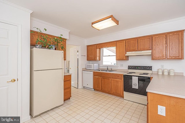 kitchen featuring crown molding, sink, and white appliances