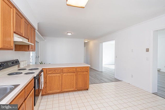 kitchen with electric stove, sink, ornamental molding, and kitchen peninsula