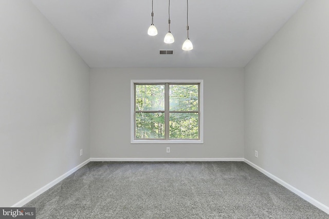 spare room featuring carpet floors