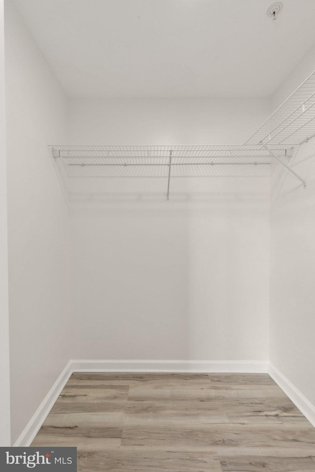 walk in closet featuring light hardwood / wood-style floors