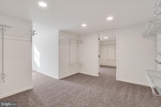 walk in closet featuring carpet flooring