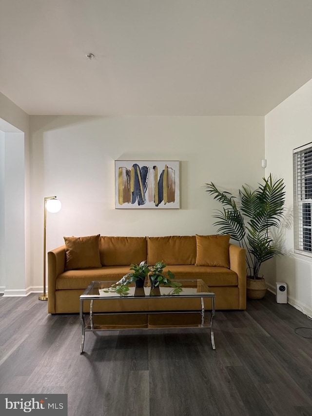 living room with dark wood-type flooring