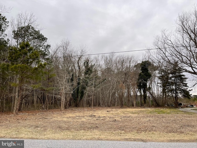 12307 Sinepuxent Rd, Berlin MD, 21811 land for sale