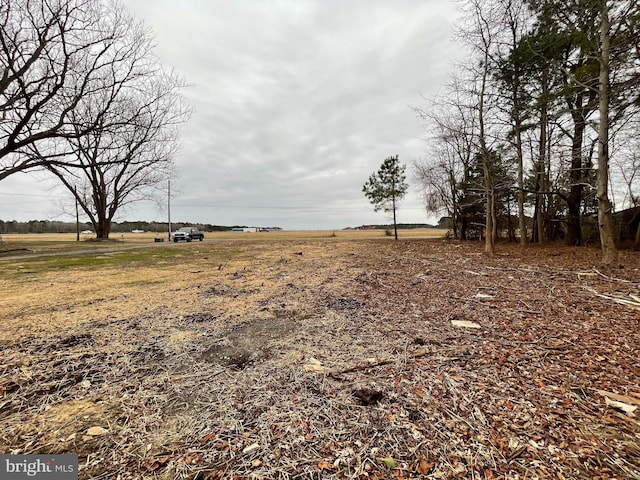 12307 Sinepuxent Rd, Berlin, MD 21811