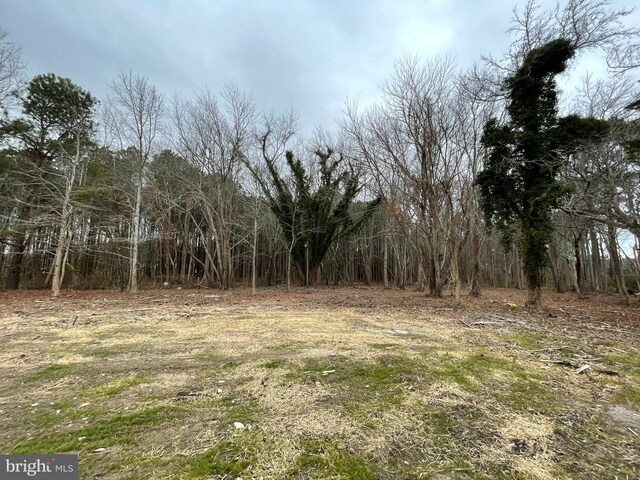 12307 Sinepuxent Rd, Berlin, MD 21811