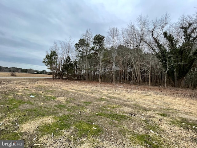 12307 Sinepuxent Rd, Berlin, MD 21811