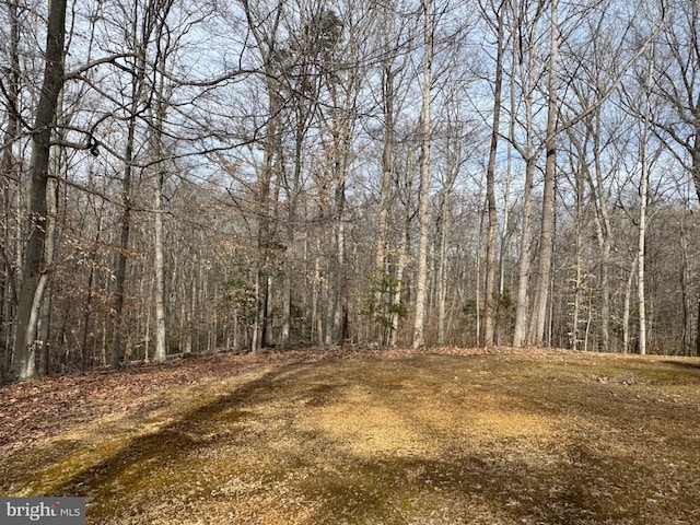 view of local wilderness