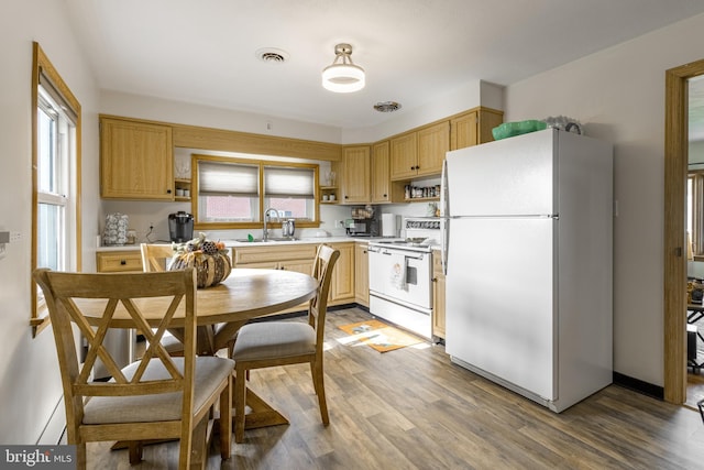 kitchen with sink, white appliances, a wealth of natural light, and wood-type flooring