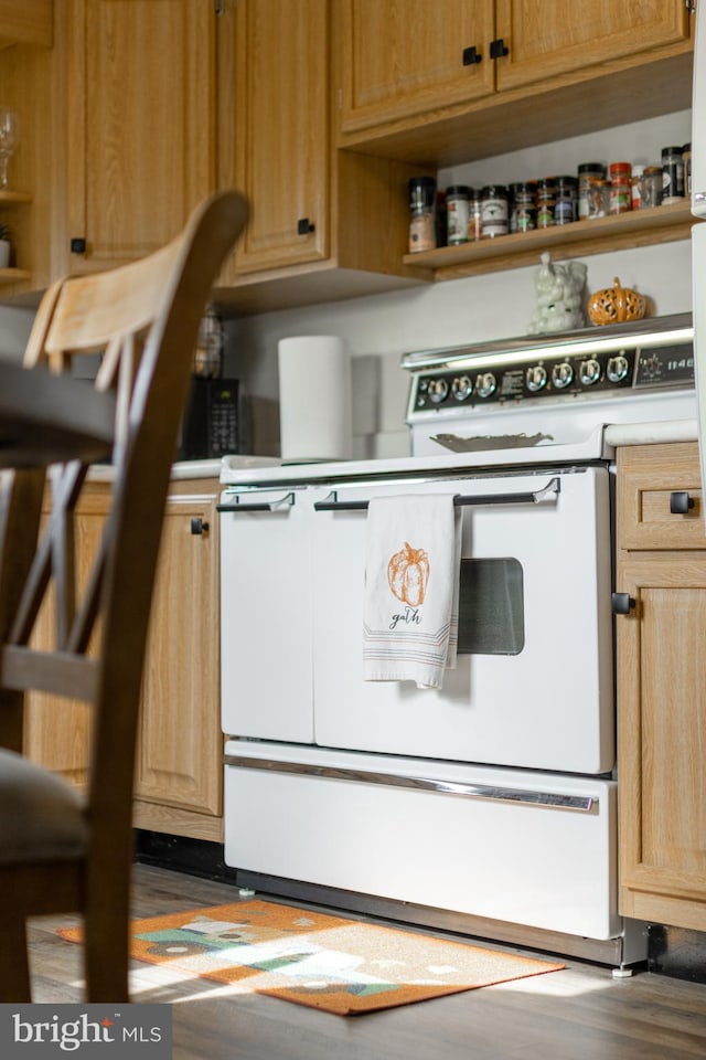 interior space with white range with electric stovetop