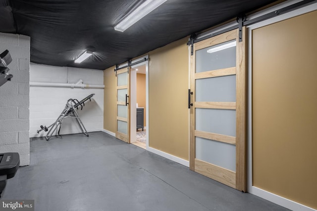 basement featuring a barn door