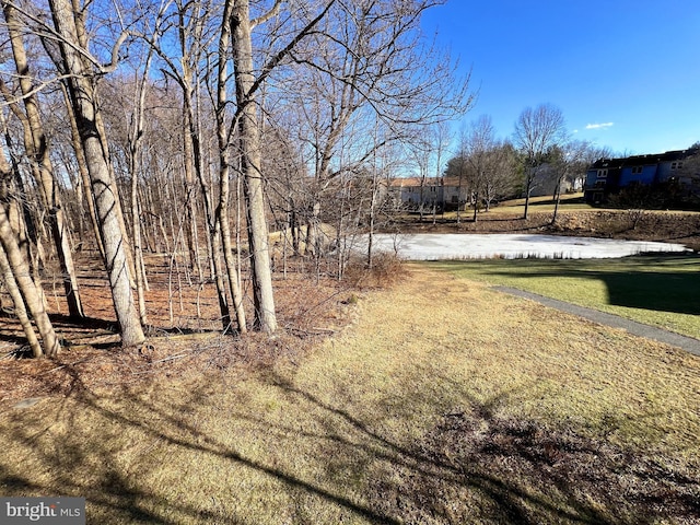 view of yard with a water view