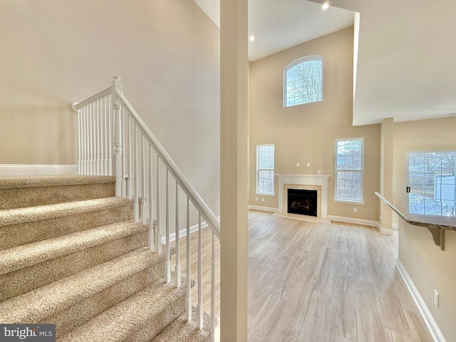 staircase featuring a towering ceiling and wood-type flooring