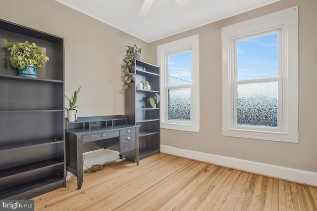 office space featuring ornamental molding, ceiling fan, and light wood-type flooring