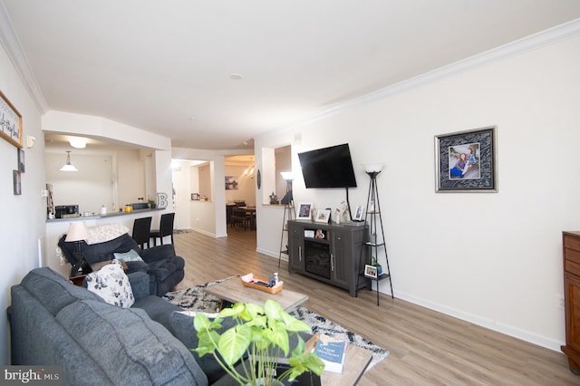 living room with crown molding and wood-type flooring