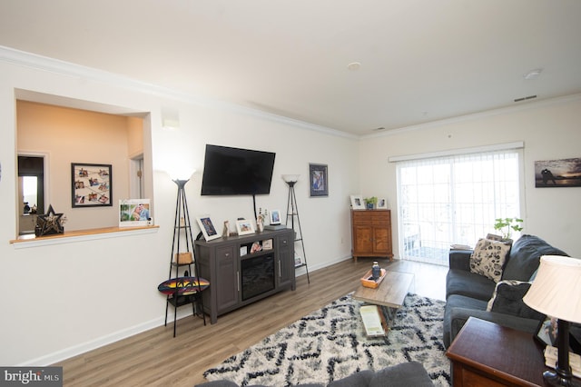 living room with crown molding and wood-type flooring