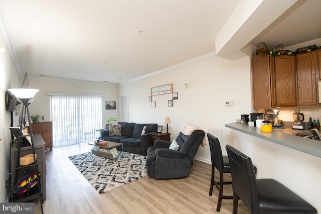 living room featuring crown molding and light hardwood / wood-style flooring